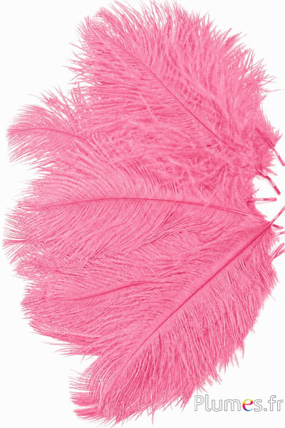 Struzzo - 13-18 cm - rosa vecchia